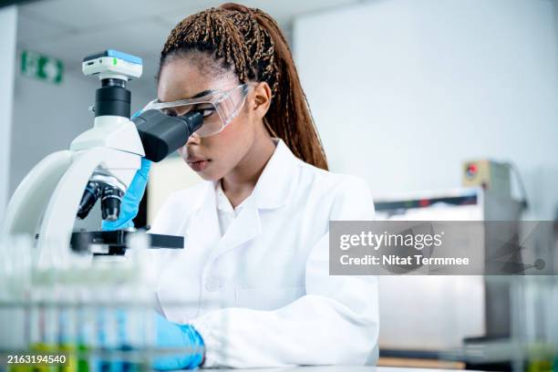 efficiency, effectiveness and productivity in pharmaceutical research and development to ensuring quality and safety. - vetenskaplig forskning bildbanksfoton och bilder
