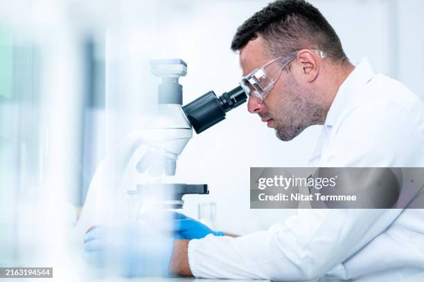 study the disease management with health research and development. a laboratory scientist working in a laboratory looks into a microscope while conducting the medical samples. - hematología fotografías e imágenes de stock