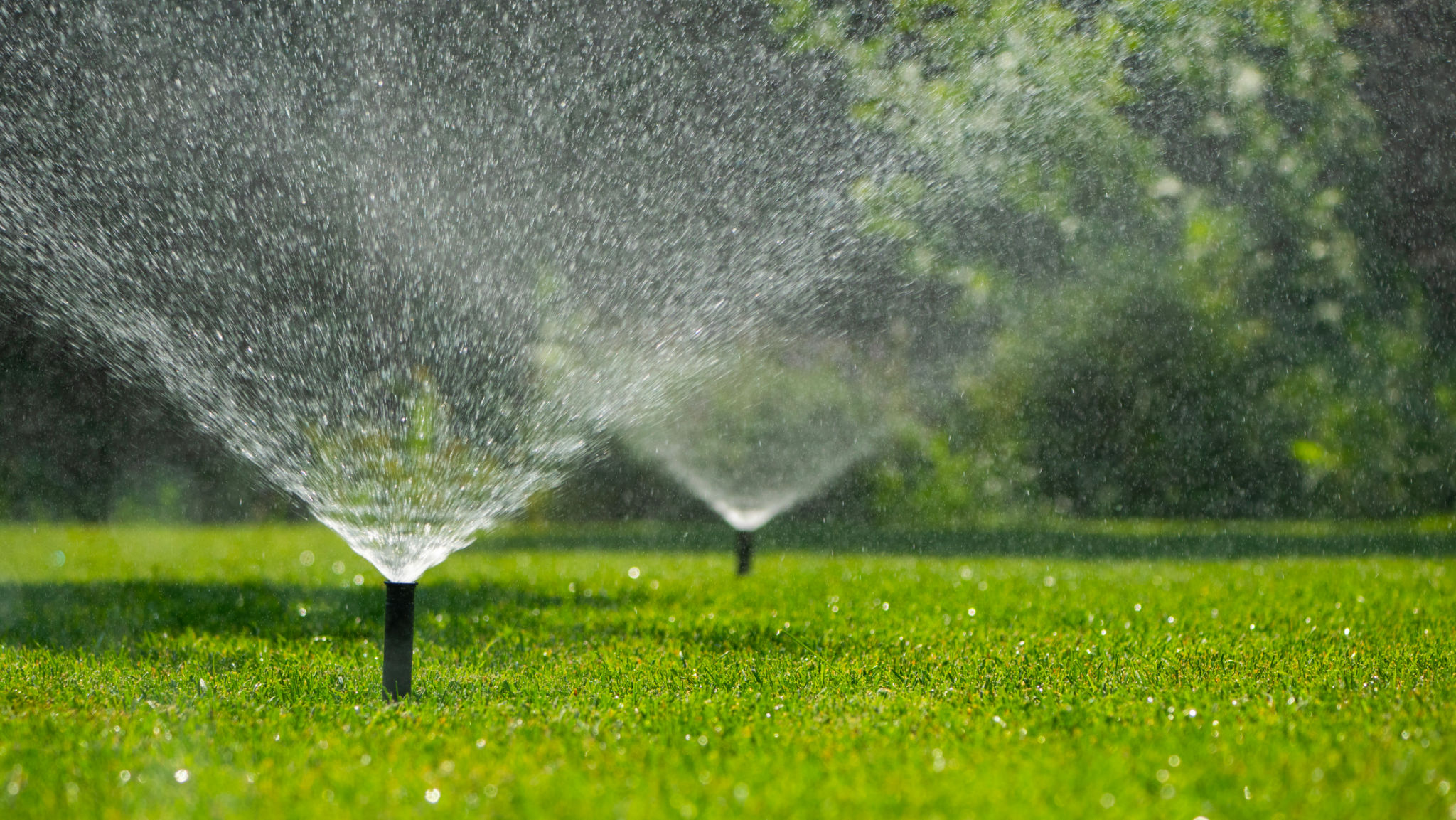irrigation system