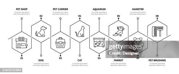 pet shop related process infographic template. process timeline chart. workflow layout with linear icons - hamster stock illustrations