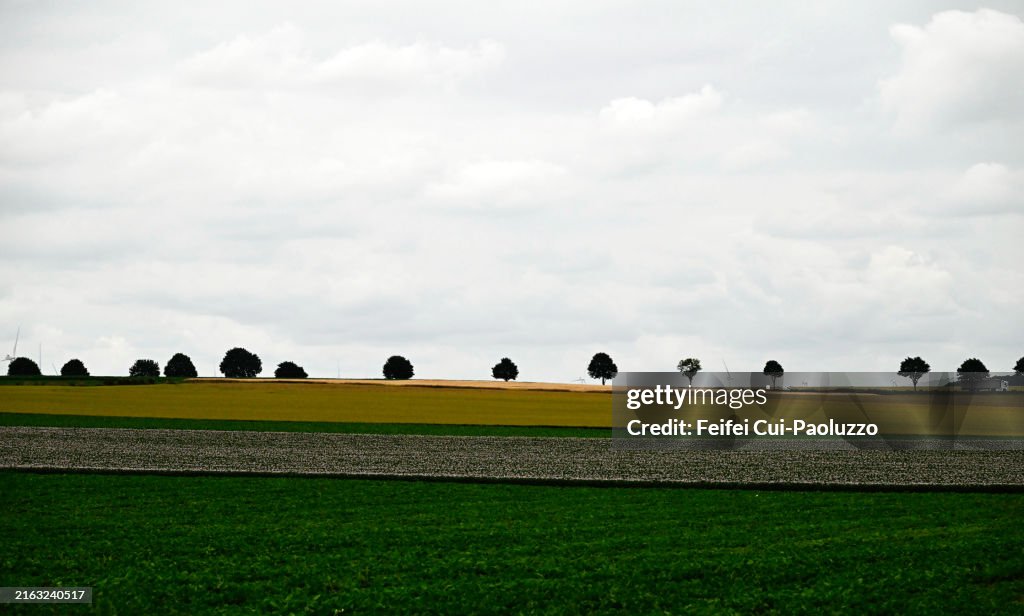 Cultivated field and trees near Dunkirk