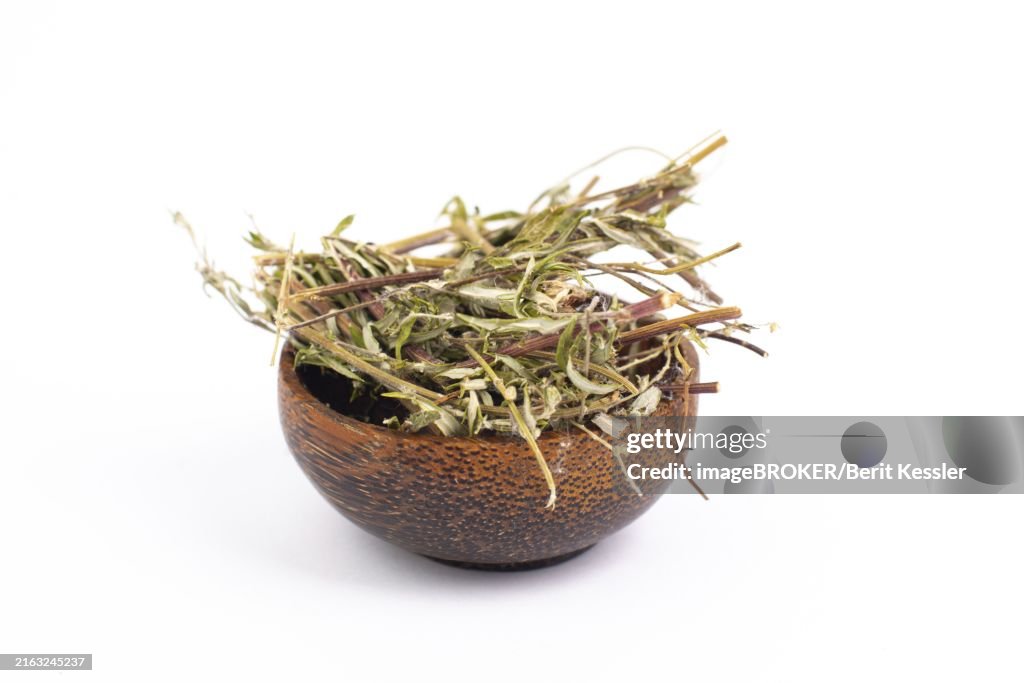 Mugwort or biboz leaves and twigs in a bowl isolated on a white background, dry herb for tea, alternative medicine