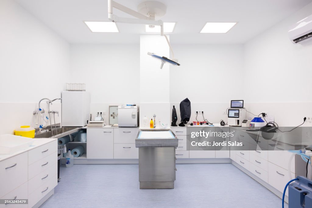 Empty veterinary clinic room.