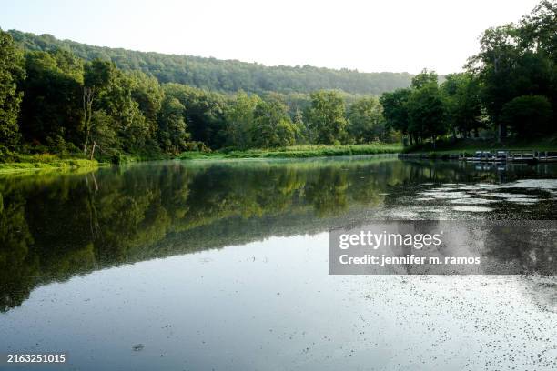 lee creek at devil's den state park, arkansas - arkansas stock pictures, royalty-free photos & images