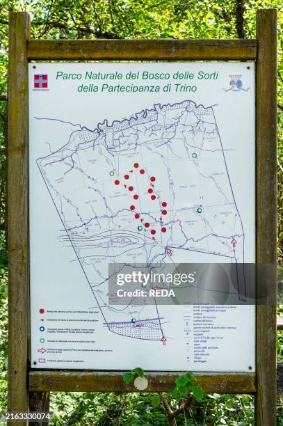 Partecipanza wood natural park, trino, Italy.