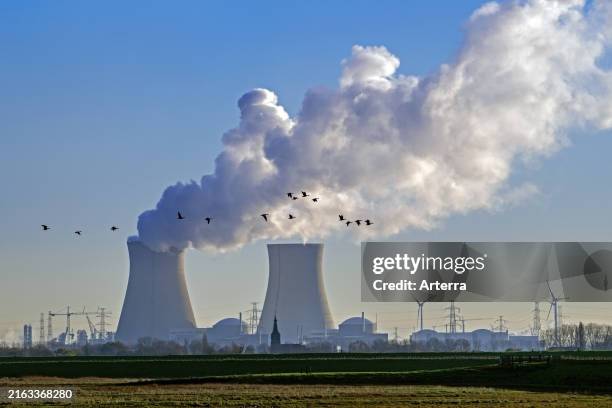 Geese flying in front of cooling towers of the Doel Nuclear Power Station, nuclear power plant in the Antwerp harbour, Flanders, Belgium.
