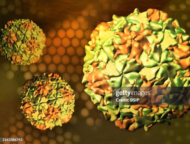 Creative artwork featuring 3D renderings of polio virus capsids over a transmission electron micrograph of a polio virus image .