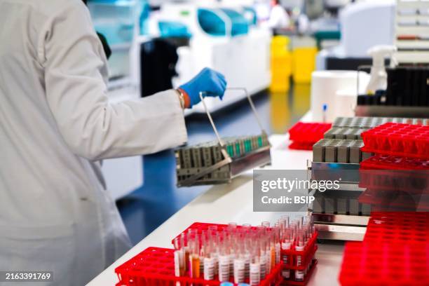 Handling Lab Sample 128 Sample Handling Stock Photos, High-Res Pictures, and Images - Getty ...