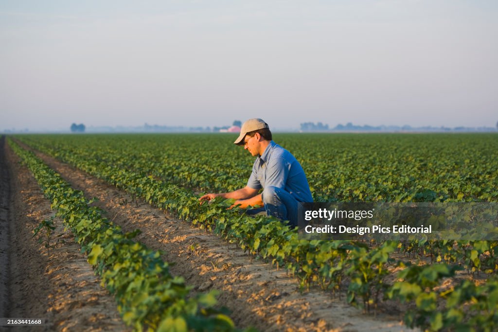 Agriculture