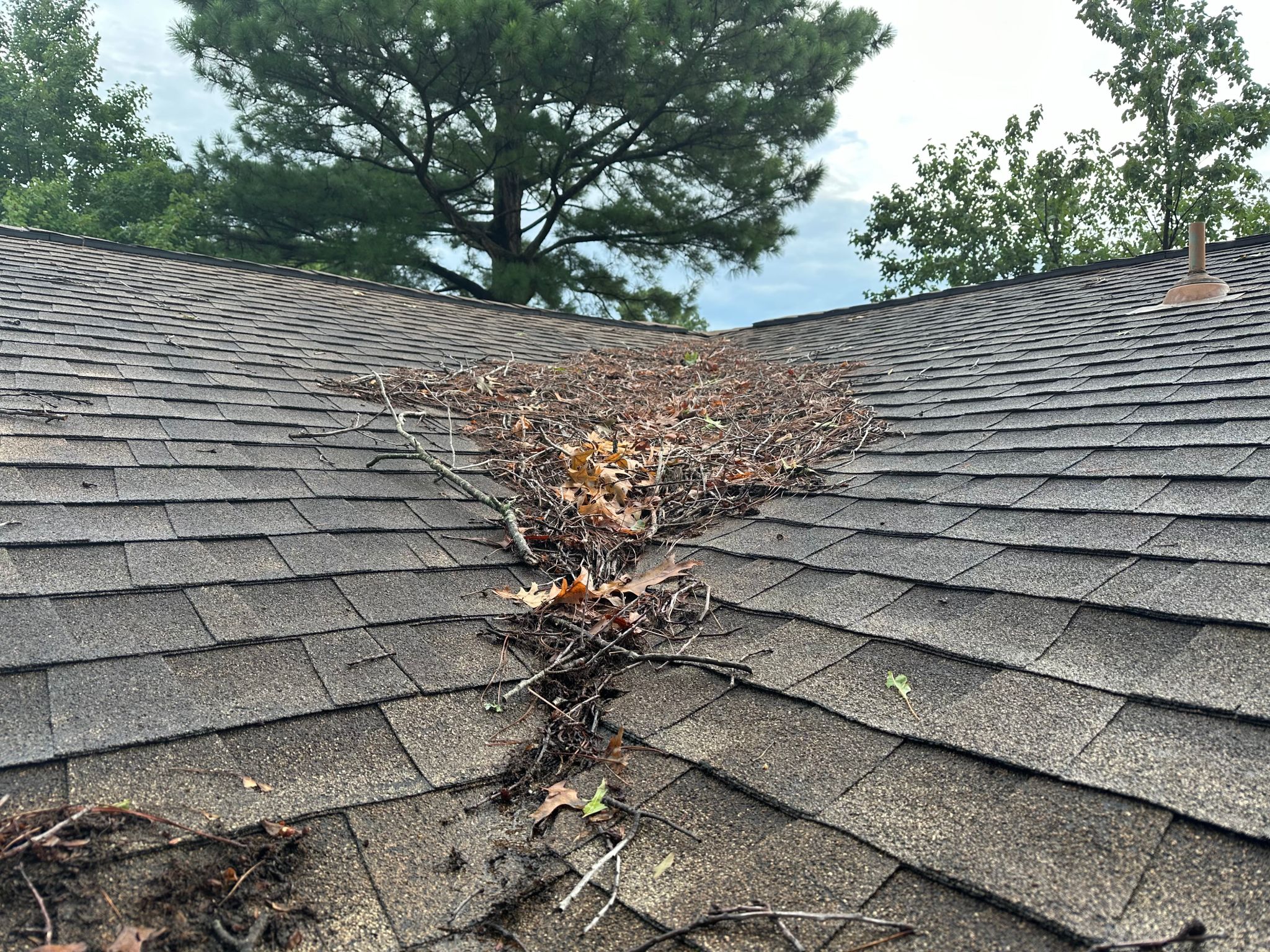 Storm damage of fallen branches from a tree onto the roof Storm damage of fallen branches from a tree onto the roof