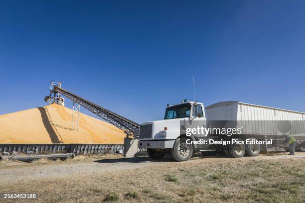 Iowa Corn Rake 150 Dump Rake Stock Photos, High-Res Pictures, and Images - Getty Images