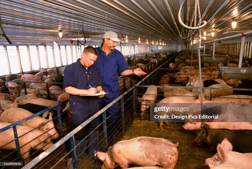 Livestock