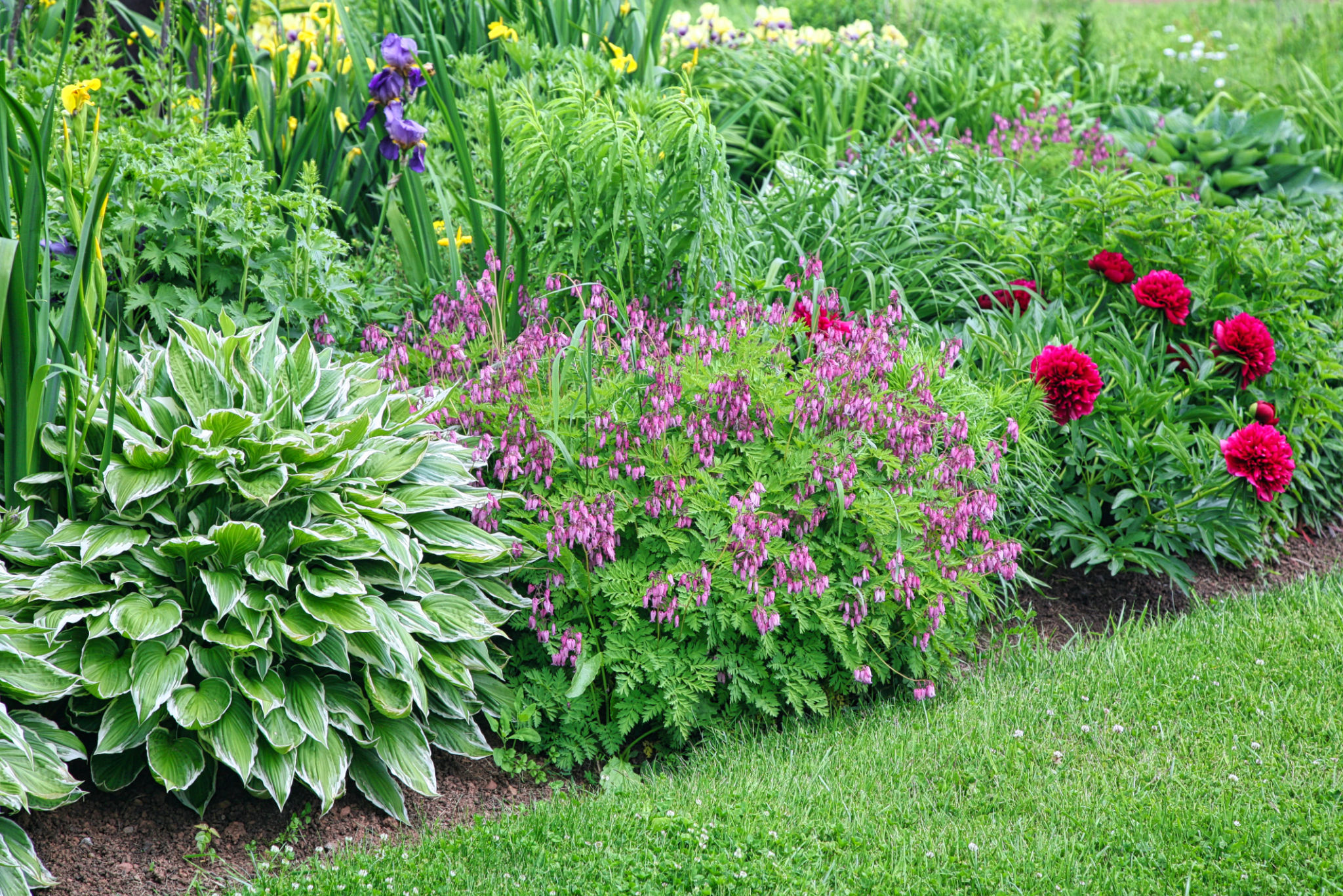 garden design