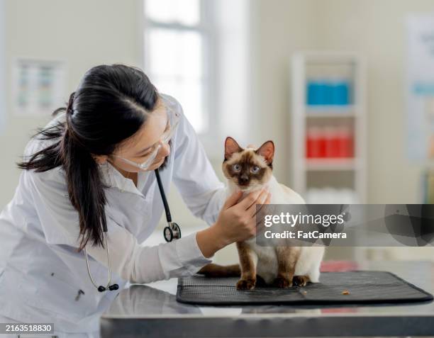Veterinary Science Pattern Background 6,523 Clinical Patterns Stock Photos, High-Res Pictures, and Images ...