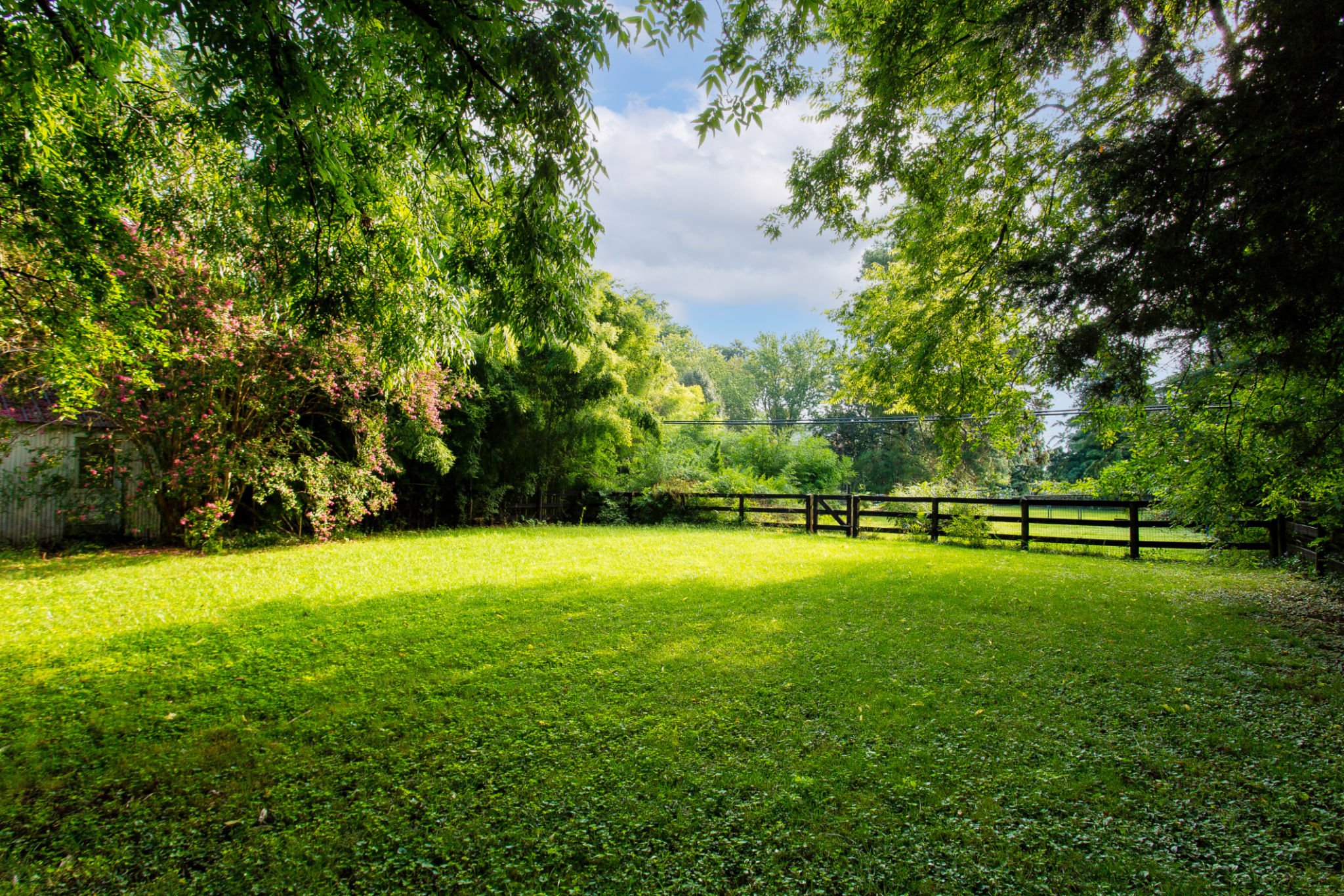 hays county backyard