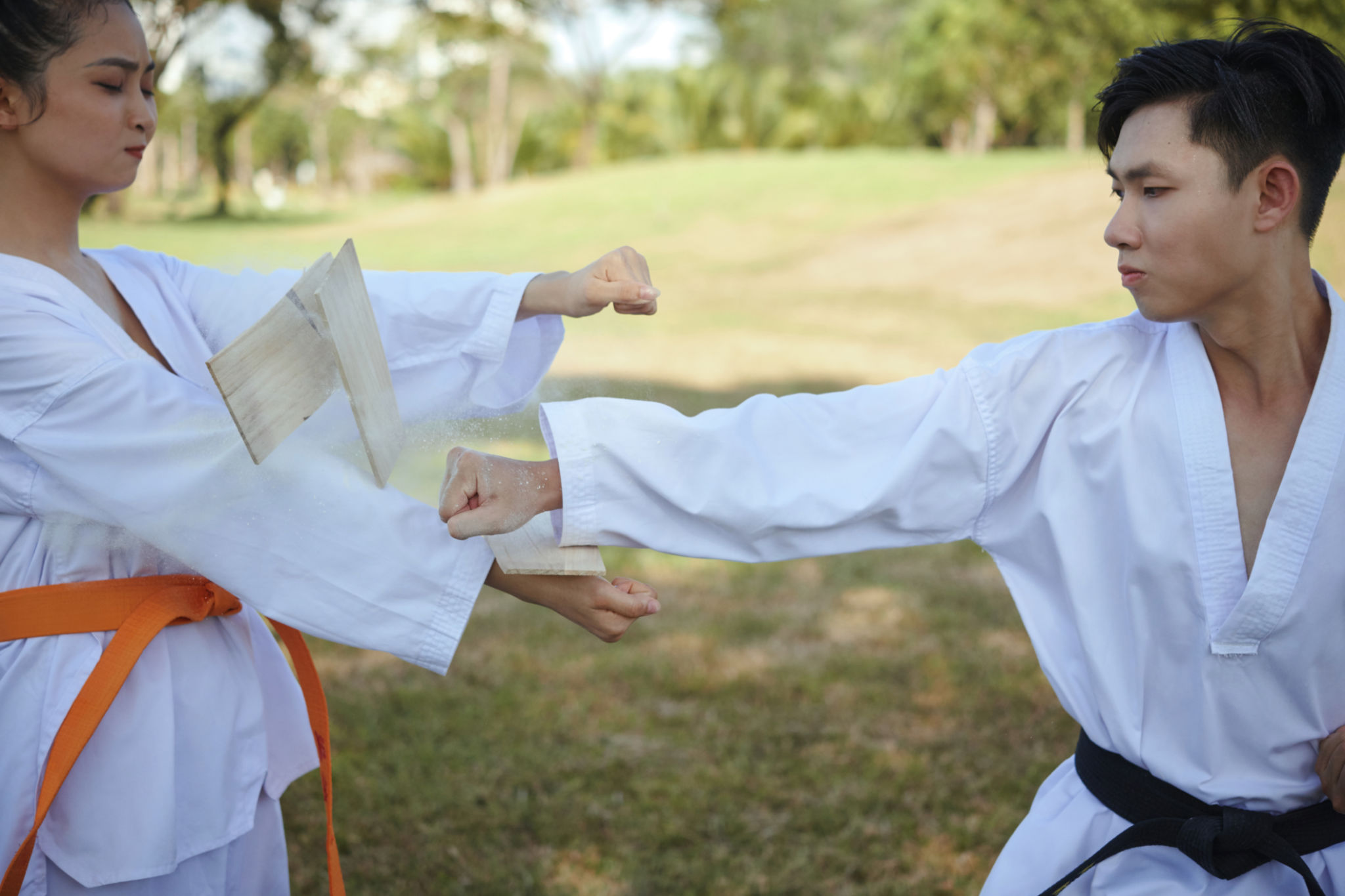 Athlete Breaking Wooden Board Athlete Breaking Wooden Board