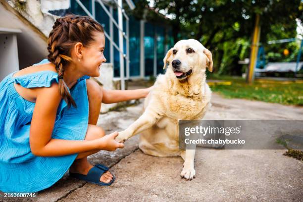 love between a girl and a dog - endast flickor bildbanksfoton och bilder