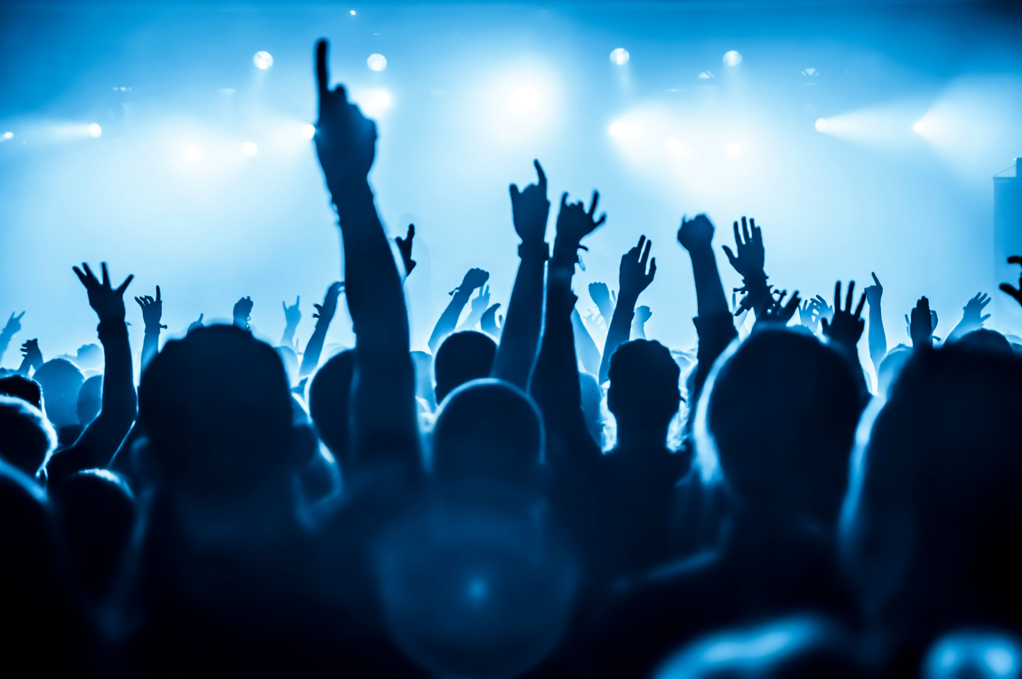 concert crowd