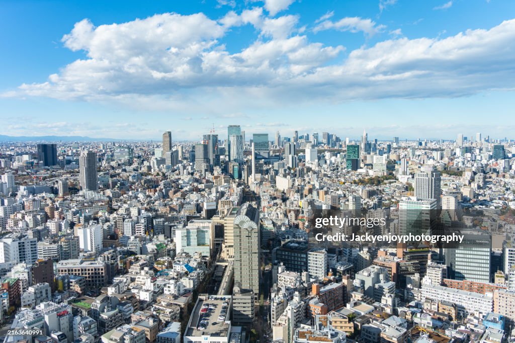 Tokyo skyscraper and landscape on a bright day