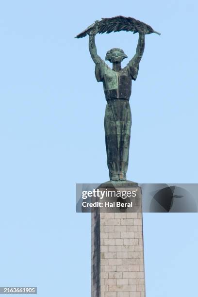 239 Budapest Liberty Statue Stock Photos, High-Res Pictures, and