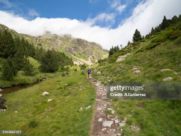 woman hiking in the mountains - pyrenees stock pictures, royalty-free photos & images