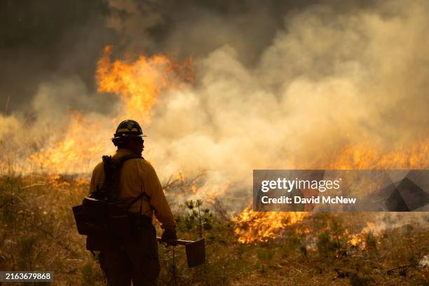 Flames quickly grow as firefighters set a backfire on the eastern front of the Park Fire, which has grown to 360,141 acres and is 12 percent...