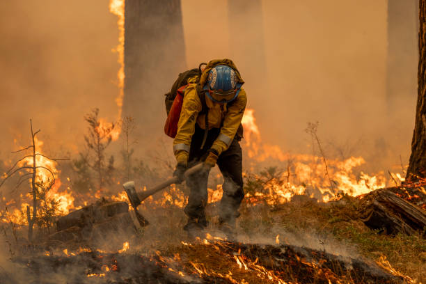 Flames quickly grow as firefighters set a backfire on the eastern front of the Park Fire, which has grown to 360,141 acres and is 12 percent...