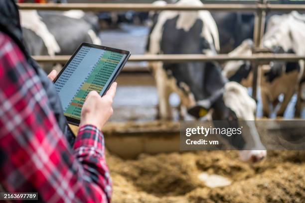 technikaffine bäuerin, die milchviehherde überwacht - tierhaltung stock-fotos und bilder