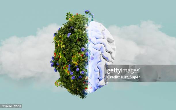 sustainable energy, renewable energy source, battery technology - renewable natural gas stock pictures, royalty-free photos & images