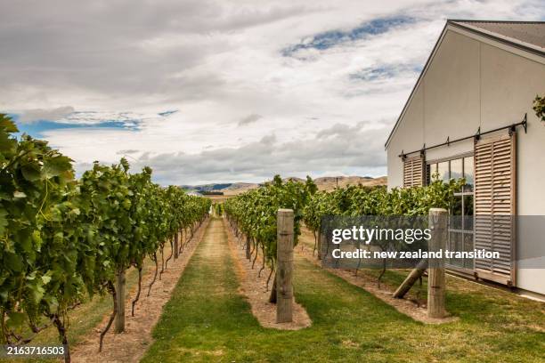 28 Martinborough Vineyard Stock Photos and High-Res Images - Getty