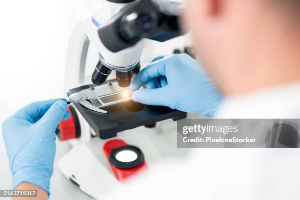 scientist using microscope focusing on a specimen slide in modern laboratory. - antibiotikaresistent stock-fotos und bilder