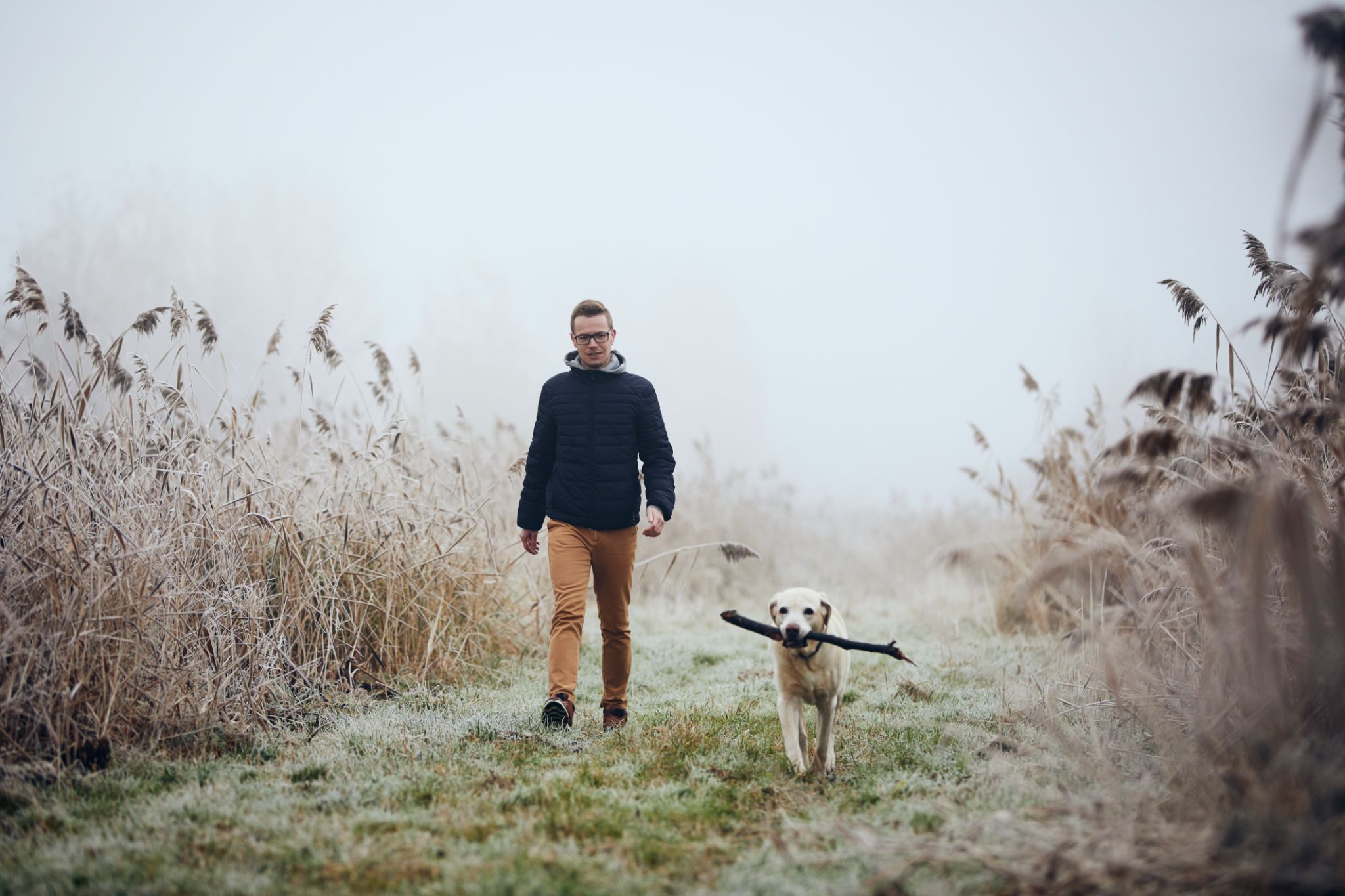 Full Length Of Man With Dog Walking On Land Full Length Of Man With Dog Walking On Land