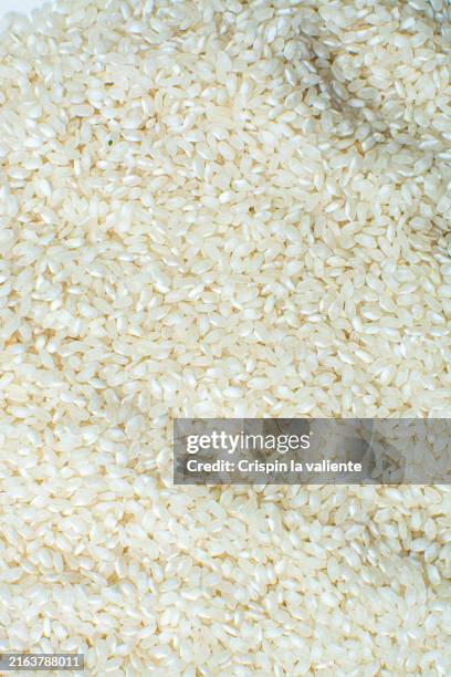 White Core Rice 646 White Rice Pile Stock Photos, High-Res Pictures, and Images - Getty ...