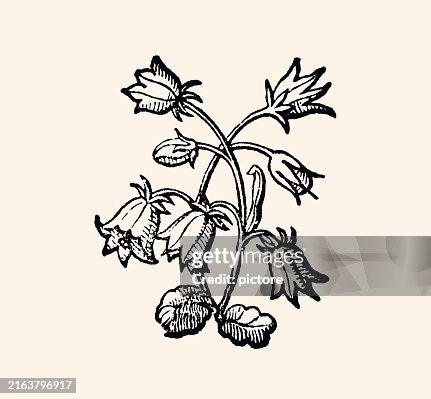 DESIGN ELEMENT : FLORAL PATTERN (xxxl) DESIGN ELEMENT : FLORAL PATTERN (xxxl)