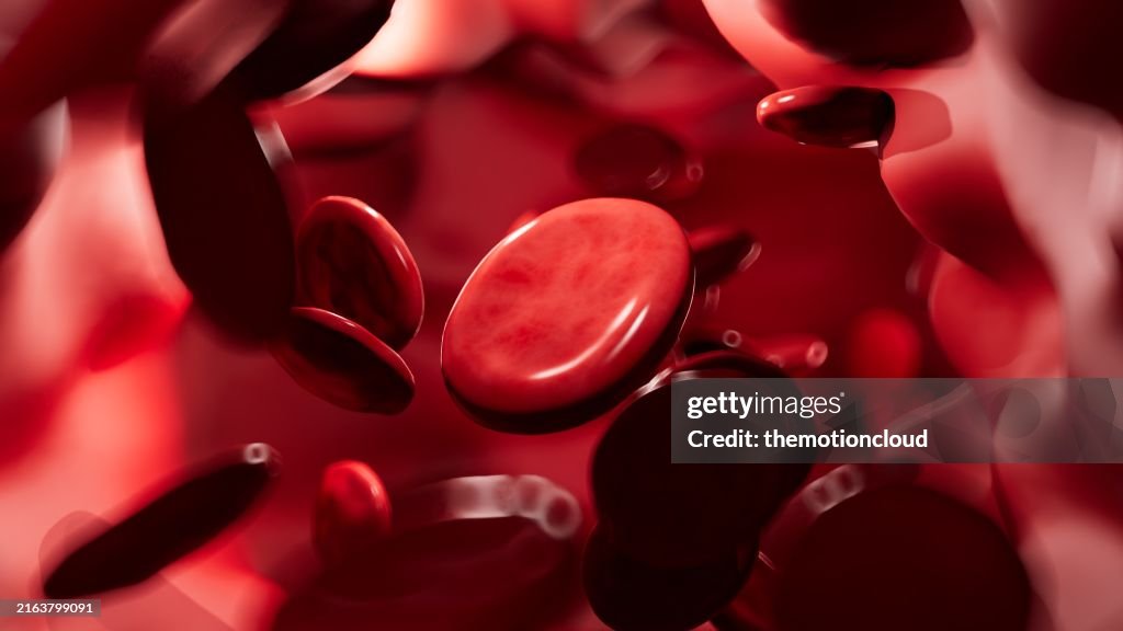 Blood Cells in Blood Vessel