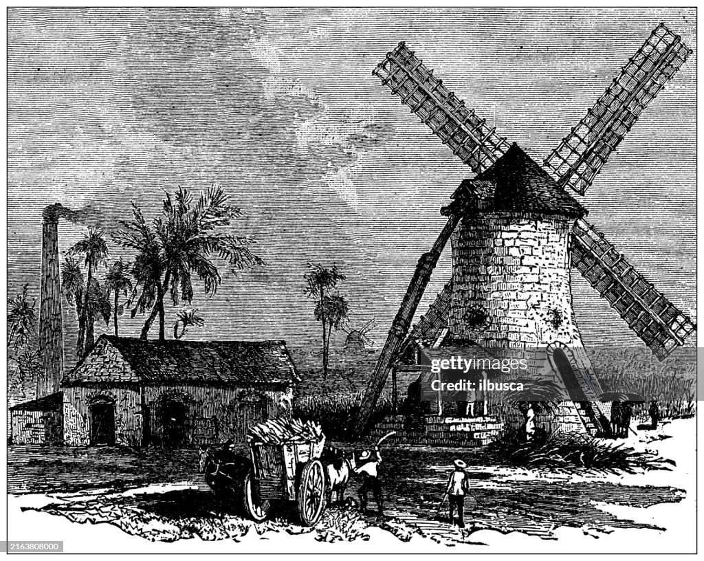 Antique engraving: Sugar Plantation, Windmill, Jamaica