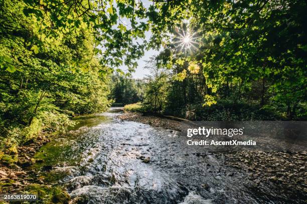 river flows through lush valley - brook stock pictures, royalty-free photos & images