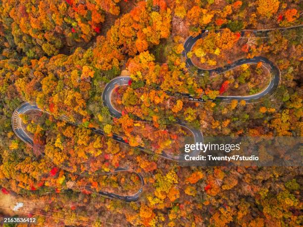 Aerial View Of A Winding Road With Beautiful Mountains In Nikko Japan, Foto de stock