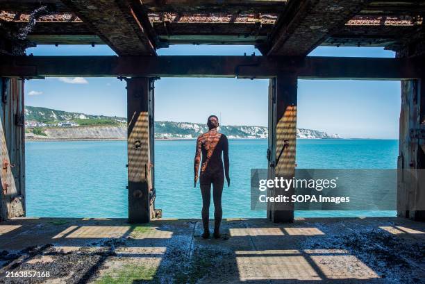 Antony Gormley's haunting life-sized male statue is facing out to the sea from Folkestone Pier. Anthony Gormley is a British artist. His Iron Men...