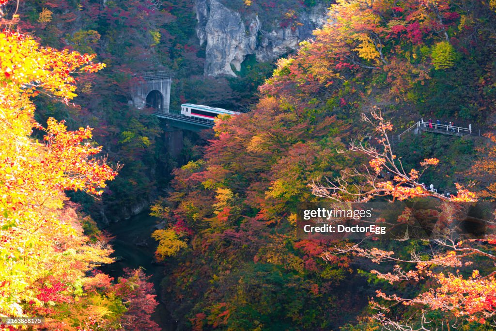 Local Train on the Bridge across Naruko Gorge in Autumn, Miyagi, Japan