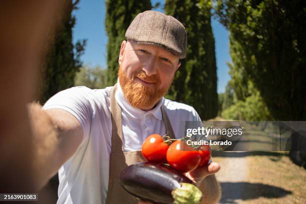 ein rothaariger tomatenbauer auf einer gemüsefarm in italien - organischer bauernhof stock-fotos und bilder