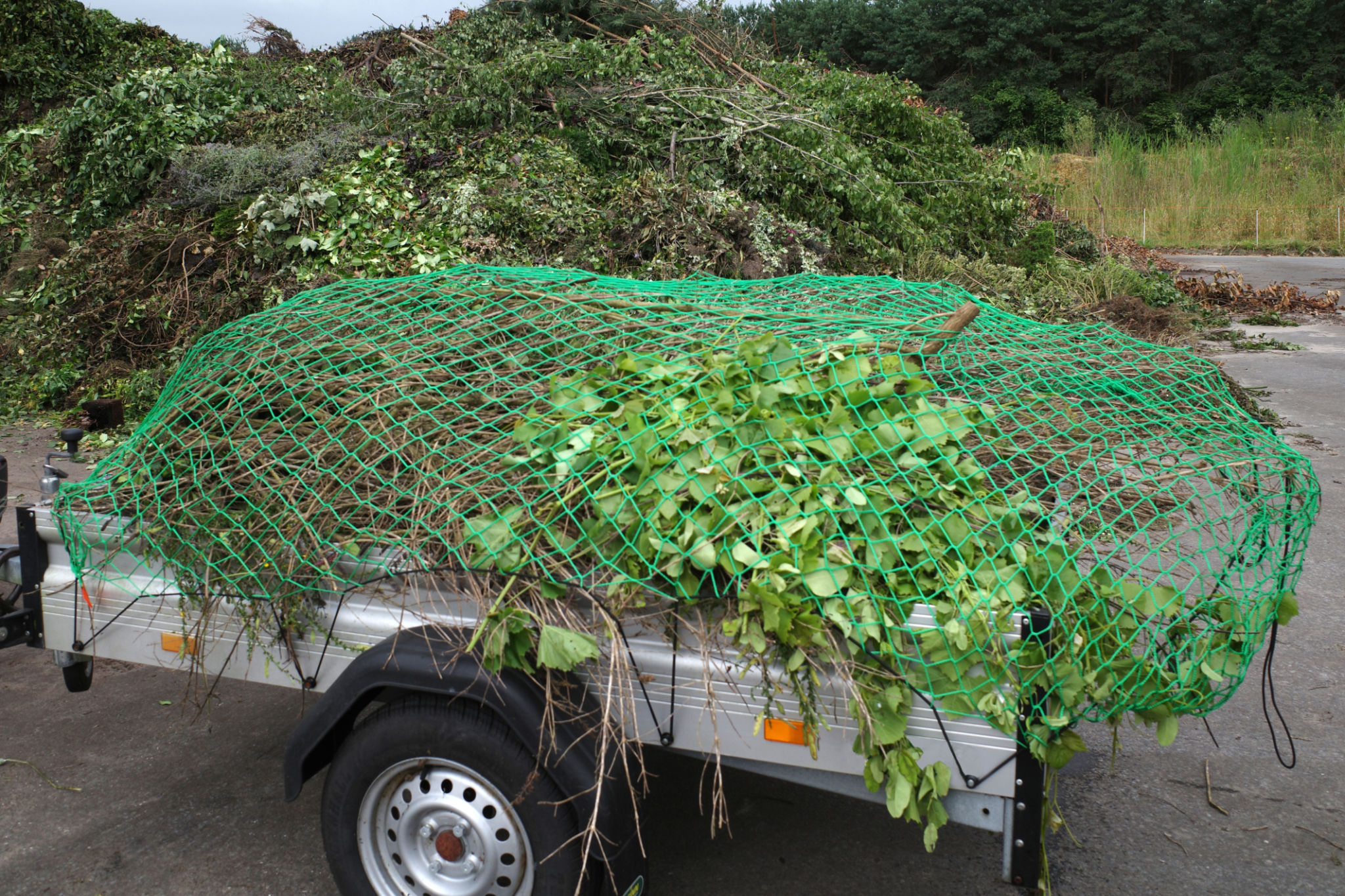 eco friendly trailer