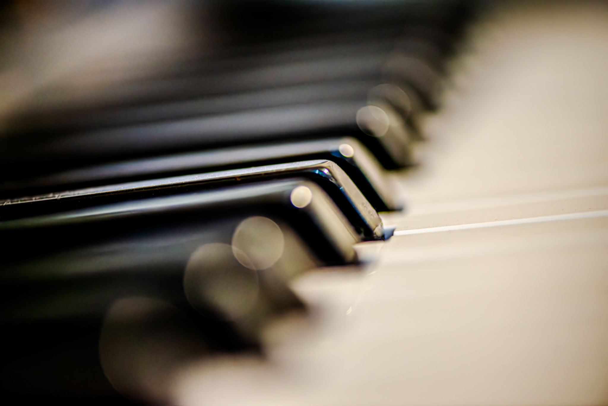 Harmonic Details: Macro Photo of Piano Keys Harmonic Details: Macro Photo of Piano Keys
