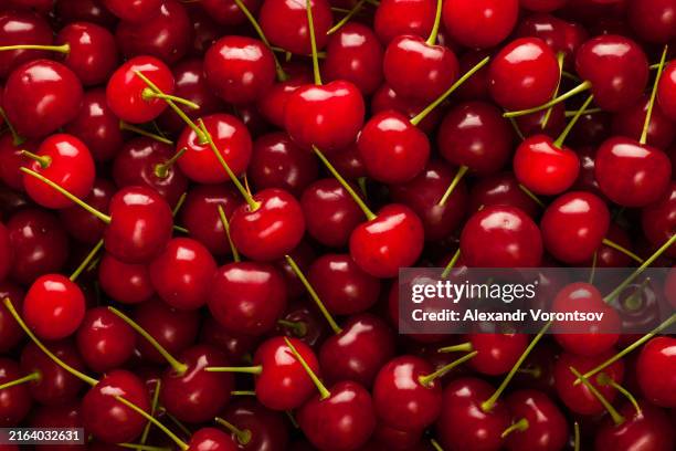 cherry background - cherry stock pictures, royalty-free photos & images