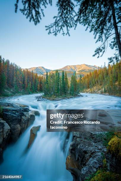 scenic sunwapta falls, jasper national park, alberta, canada. copy space - rapids river stock pictures, royalty-free photos & images