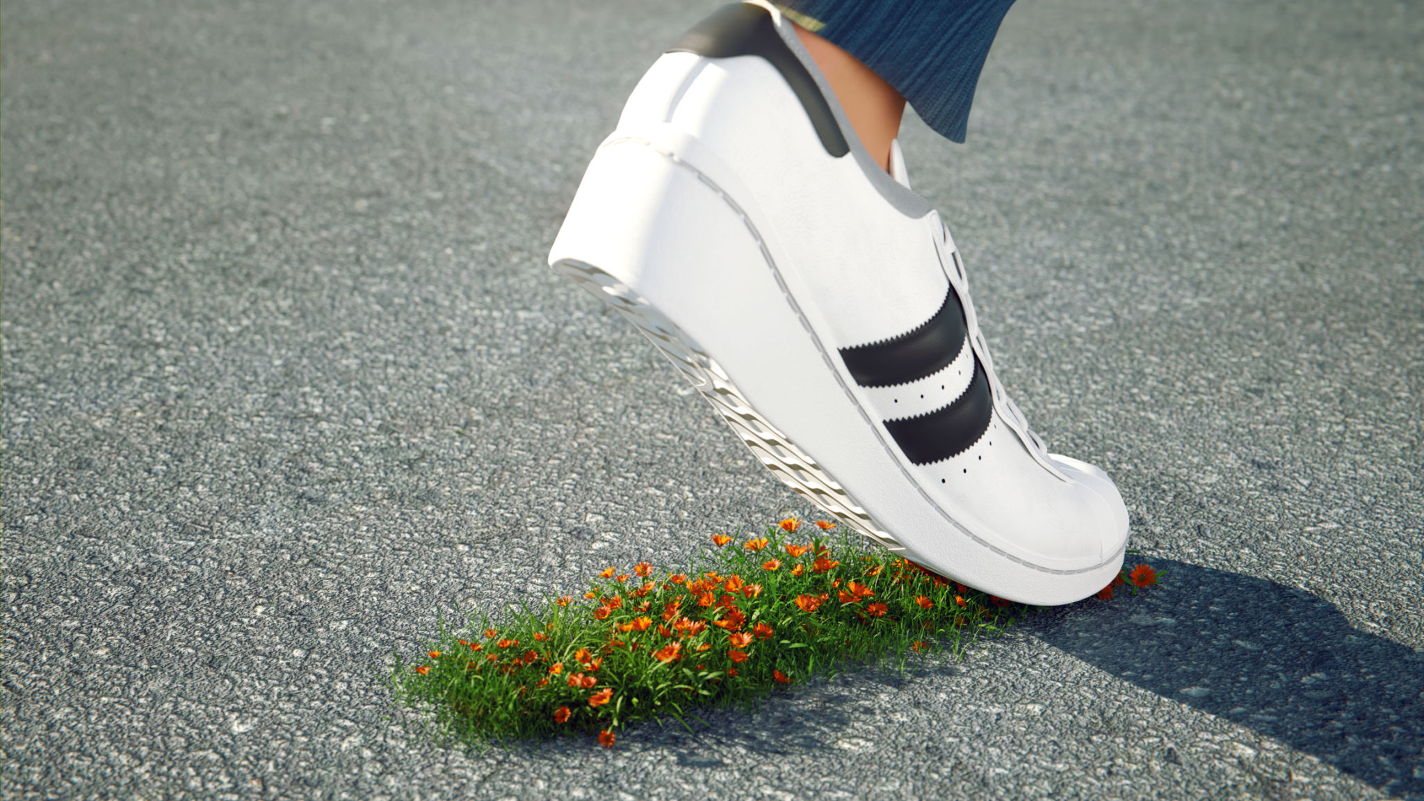 carbon-footprint