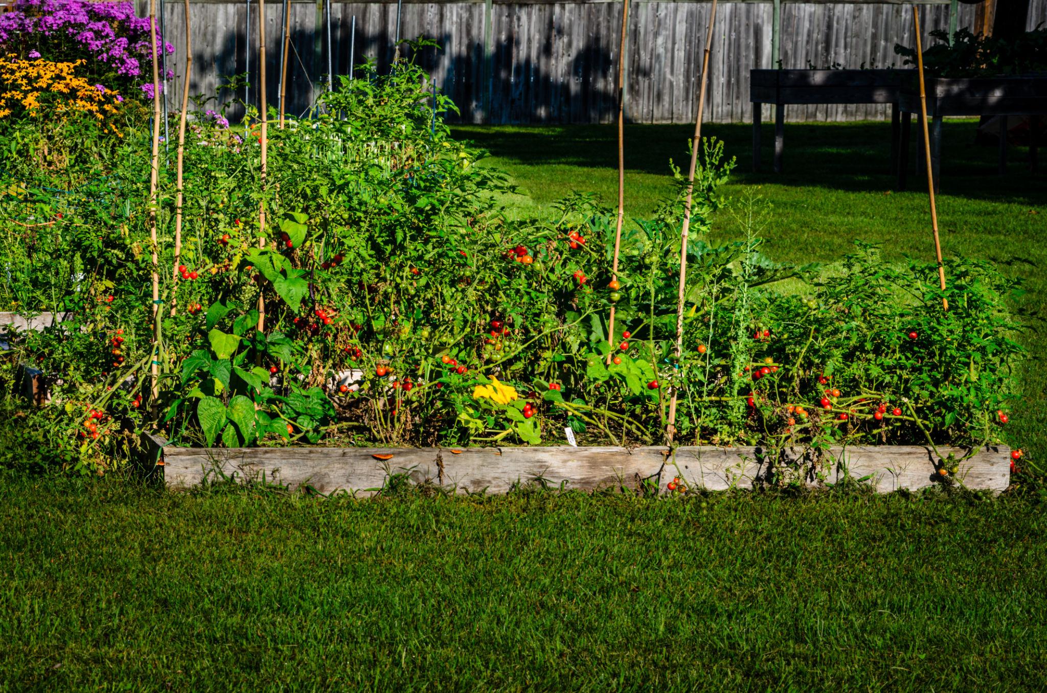 healthy topsoil