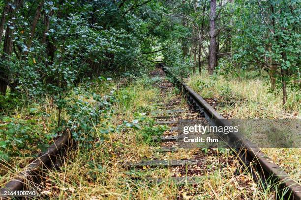 abandoned overgrown railway track - train tracks end stock pictures, royalty-free photos & images