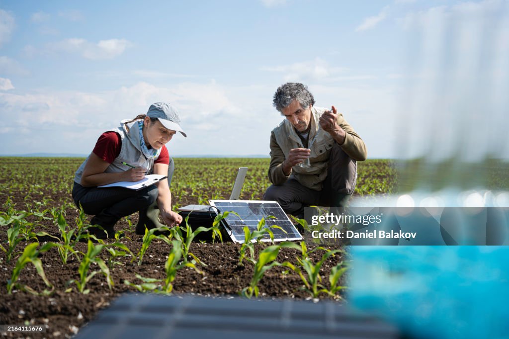 Bodenökologie & regenerative Landwirtschaft. Forschung zur Bodensanierung.