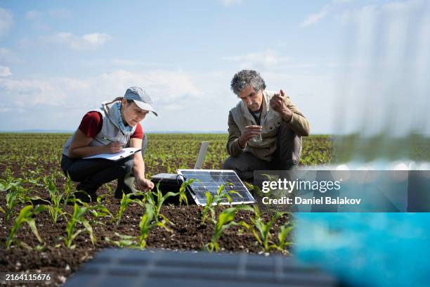 soil ecology & regenerative agriculture. research on soil restoration. - biologisk mångfald bildbanksfoton och bilder